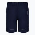 Pantaloni scurți de drumeție pentru copii The North Face On Mountain albastru marin NF0A53CIL4U1 2