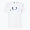 Tricou pentru bărbați Oakley Camo Ellipse Tee white