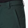 Pantaloni de snowboard pentru bărbați Oakley Axis Insulated verde FOA403446 4