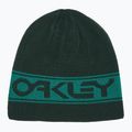Șapcă Oakley TNP Reversible verde FOS901066 4