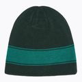 Șapcă Oakley TNP Reversible verde FOS901066 5