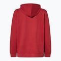 Hanorac pentru bărbați Oakley PO Hoodie iron red 2