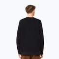 Bluză pentru bărbați Oakley Relax Crew Sweatshirt 2.0 blackout 3