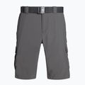 Columbia Silver ridge II cargo 023 gri 1794921 Pantaloni scurți de trekking pentru bărbați 6