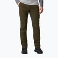 Pantaloni de bărbați Columbia Silver Ridge II converti 319 pantaloni cu picior detașabil de culoare verde 1794891