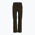 Pantaloni de bărbați Columbia Silver Ridge II converti 319 pantaloni cu picior detașabil de culoare verde 1794891 9