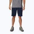 Pantaloni scurți de trekking pentru bărbați Columbia Logo Fleece bleumarin 1884601464