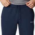 Pantaloni scurți de trekking pentru bărbați Columbia Logo Fleece bleumarin 1884601464 4