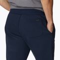 Pantaloni scurți de trekking pentru bărbați Columbia Logo Fleece bleumarin 1884601464 5