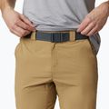 Pantaloni scurți de trekking pentru bărbați Columbia Silver Ridge II 243 bej 1794931 2