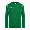 Bluză de fotbal pentru copii Nike Dri-FIT Park 20 Crew pine green/white/white