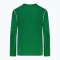 Bluză de fotbal pentru copii Nike Dri-FIT Park 20 Crew pine green/white/white 2