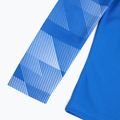 Hanorac de fotbal pentru copii Nike Dry-Fit Park IV albastru CJ6072-463 4