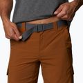 Pantaloni scurți de trekking pentru bărbați Columbia Silver ridge II cargo 235 maro 1794921 4