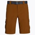 Pantaloni scurți de trekking pentru bărbați Columbia Silver ridge II cargo 235 maro 1794921 6