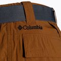 Pantaloni scurți de trekking pentru bărbați Columbia Silver ridge II cargo 235 maro 1794921 9