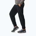 Columbia Pleasant Creek Warm Jogger pantaloni de trekking pentru femei negru 1960113 2