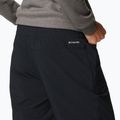Columbia Pleasant Creek Warm Jogger pantaloni de trekking pentru femei negru 1960113 5