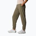 Columbia Pleasant Creek Warm Jogger maro pantaloni de trekking pentru femei 1960113 2