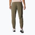 Columbia Pleasant Creek Warm Jogger maro pantaloni de trekking pentru femei 1960113 3