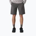 Pantaloni scurți pentru bărbați Patagonia Terravia Trail 10" forge grey