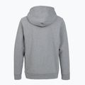Bluză de trekking pentru femei Patagonia P-6 Label Uprisal Hoody gravel heather 2