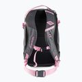 Rucsac de snowboard pentru femei Dakine Team Heli Pro 20 gri D10003829 3