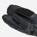 Mănuși de snowboard pentru bărbați Dakine Titan Gore-Tex Mitt carbon 5