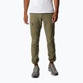 Pantaloni de trekking pentru bărbați Columbia Triple Canyon 397 verde 1711681 4