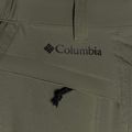 Pantaloni de trekking pentru bărbați Columbia Triple Canyon 397 verde 1711681 11