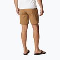 Pantaloni scurți de trekking pentru bărbați Columbia Maxtrail Lite 257 maro 1990471 2