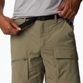Columbia Maxtrail Lite 397 verde 1990471 Pantaloni scurți de trekking pentru bărbați 2
