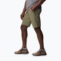 Pantaloni scurți de trekking pentru bărbați Columbia Triple Canyon 397 verde 1711701 3