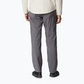 Pantaloni de trekking pentru bărbați Columbia Silver Ridge Utility Convertible gri 2012962023 3
