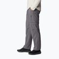 Pantaloni de trekking pentru bărbați Columbia Silver Ridge Utility Convertible gri 2012962023 4