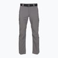 Pantaloni de trekking pentru bărbați Columbia Silver Ridge Utility city grey 7