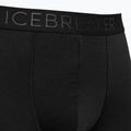 Bărbați boxeri termici bărbați icebreaker Anatomica Cool-Lite negru 105223 3