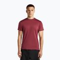 Tricou de trekking pentru bărbați icebreaker Merino 125 Cool-Lite Sphere III port