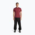Tricou de trekking pentru bărbați icebreaker Merino 125 Cool-Lite Sphere III port 4