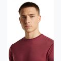 Tricou de trekking pentru bărbați icebreaker Merino 125 Cool-Lite Sphere III port 5