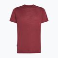 Tricou de trekking pentru bărbați icebreaker Merino 125 Cool-Lite Sphere III port 6