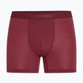 Boxeri termoactivi pentru bărbați icebreaker Anatomica Boxers port