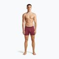 Boxeri termoactivi pentru bărbați icebreaker Anatomica Boxers port 3