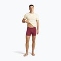 Boxeri termoactivi pentru bărbați icebreaker Anatomica Boxers port 5