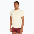 Tricou de trekking pentru bărbați  icebreaker Anatomica Crewe undyed