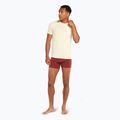 Tricou de trekking pentru bărbați  icebreaker Anatomica Crewe undyed 5