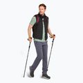 Tricou de trekking pentru bărbați icebreaker Merino 150 Tech Lite Polar Paddle moss 5