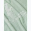 Tricou de trekking pentru bărbați icebreaker Merino 150 Tech Lite Polar Paddle moss 7