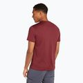 Tricou de trekking pentru bărbați icebreaker Merino 150 Tech Lite Southern Constellation port 3