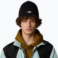 Căciulă de trekking pentru bărbaț The North Face Norm Beanie black 4